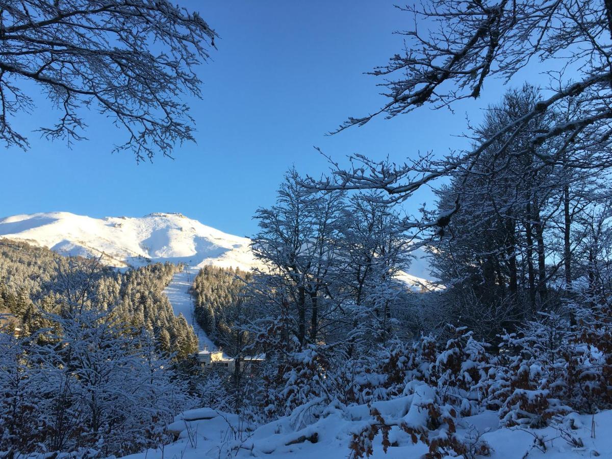 Le Lioran Studio Les Myrtilles A 200M Des Pistes Exterior photo